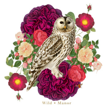 Snowy Owl  Design