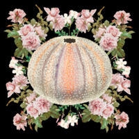 Jassy Kina  Design