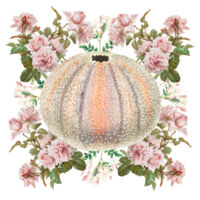 Jassy Kina  Design