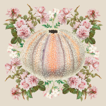 Jassy Kina  Design