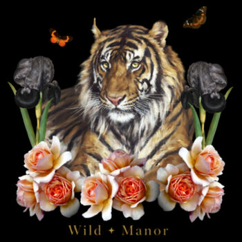 Mr Tiger Design