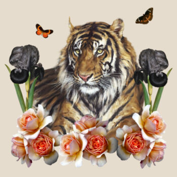 Mr Tiger Design