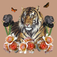 Mr Tiger Design