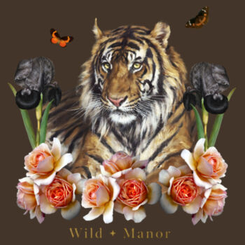 Mr Tiger Design