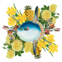 Sunfish Array Design