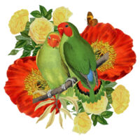 LoveBirds Design