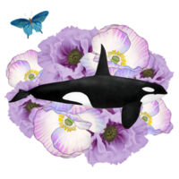 Orca Bloom Design
