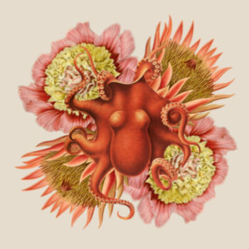 Orange Octopus  Design