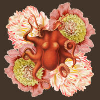 Orange Octo Bloom Design