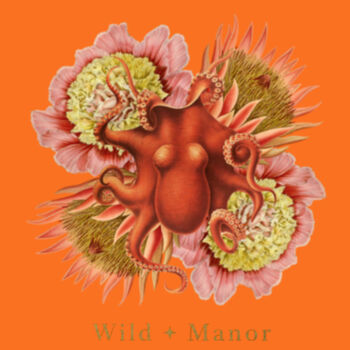 Orange Octopus Design