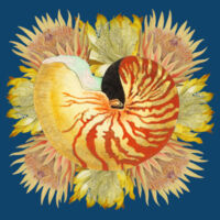 Nautilus Spray Design