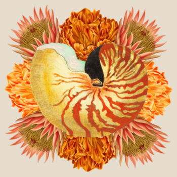 Vibrant Nautilus  Design