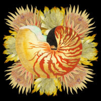 Nautilus Spray Design