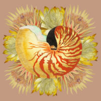 Nautilus Spray Design