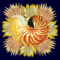 Nautilus Spray Design