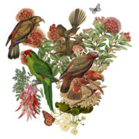Love Aotearoa Design