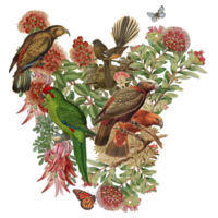 Love Aotearoa Design