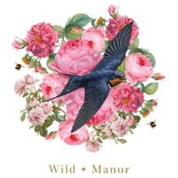 Joyous Swallow Design