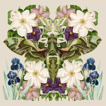 Emerald Moth Design