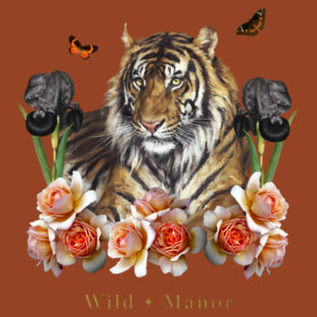 Mr Tiger Design