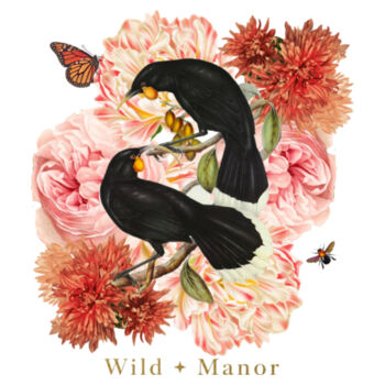 A Huia Hou Design