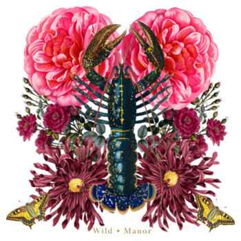 Rainbow Crawfish Design