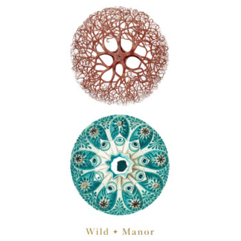Sea Splendour Design