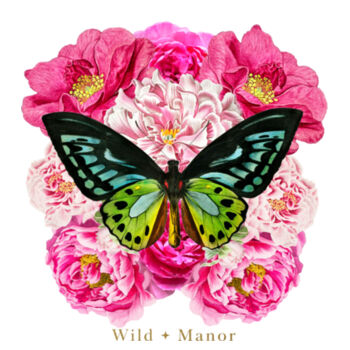 Butterfly Bliss Design