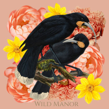 Huia Bloom Design