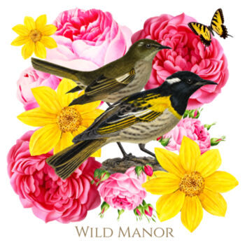 Hihi, NZ Stichbird  Design