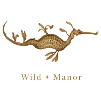 Wild Manor Sea Dragon Design