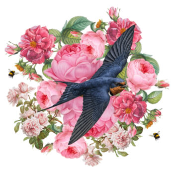 Joyous Swallow Design