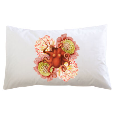 Orange Octo Bloom Thumbnail