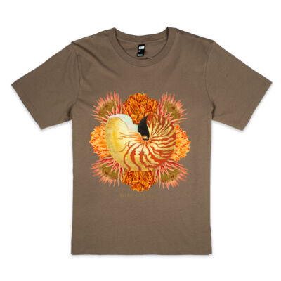Vibrant Nautilus  Thumbnail