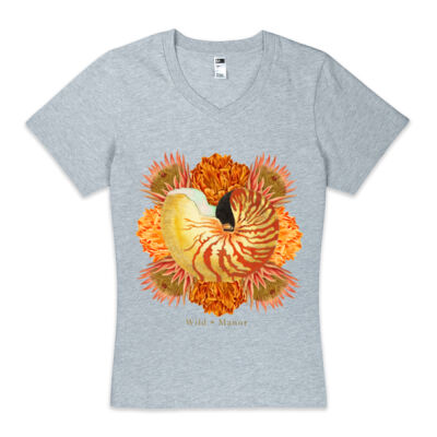 Vibrant Nautilus  Thumbnail