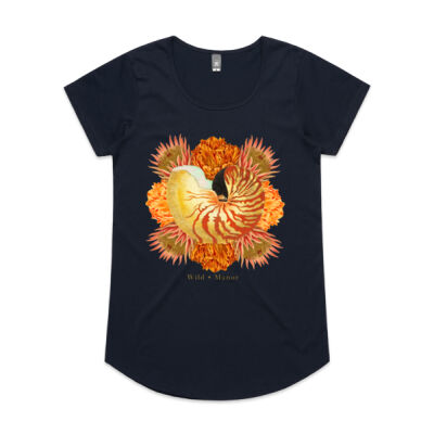 Vibrant Nautilus  Thumbnail