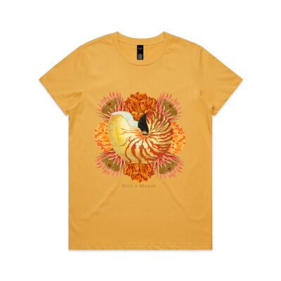 Vibrant Nautilus  Thumbnail
