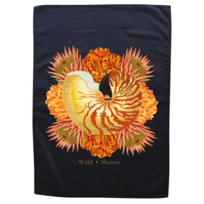 Vibrant Nautilus  Thumbnail