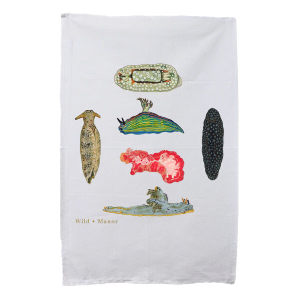 Sea Slug Parade Thumbnail