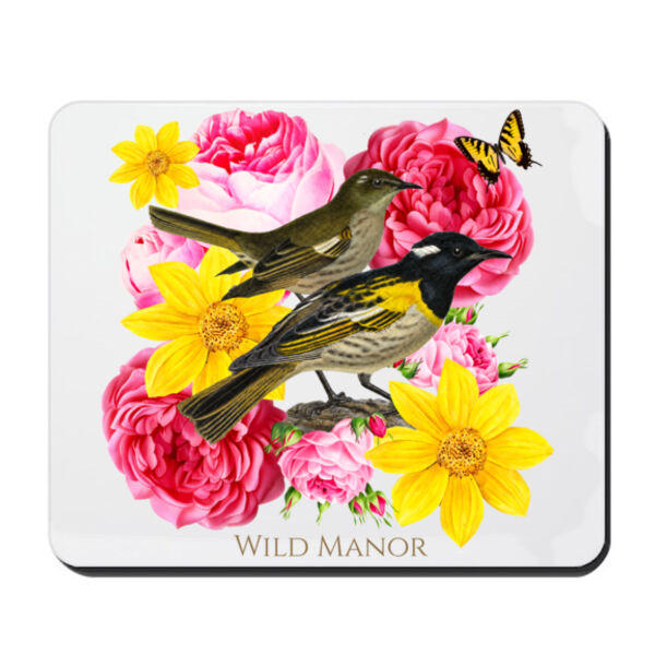 Hihi, NZ Stichbird  Thumbnail